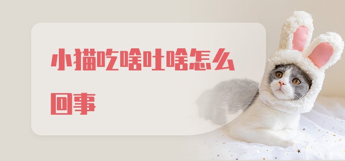 小猫吃啥吐啥怎么回事