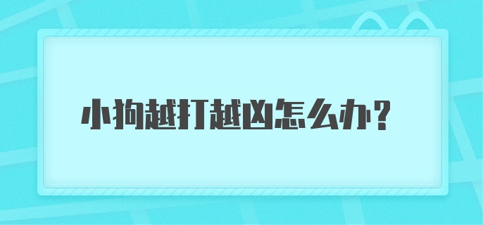 小狗越打越凶怎么办？