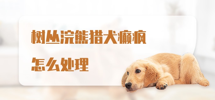 树丛浣熊猎犬癫疯怎么处理