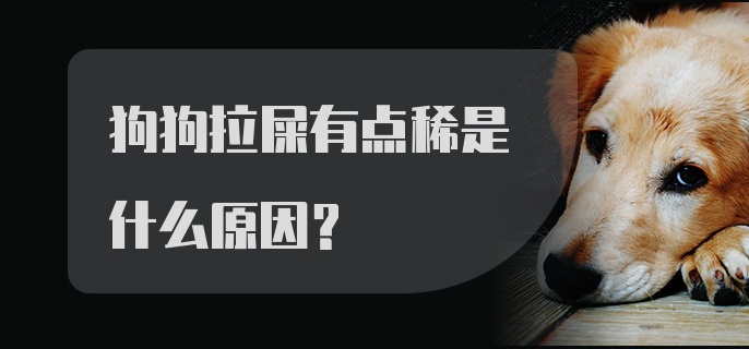 狗狗拉屎有点稀是什么原因？