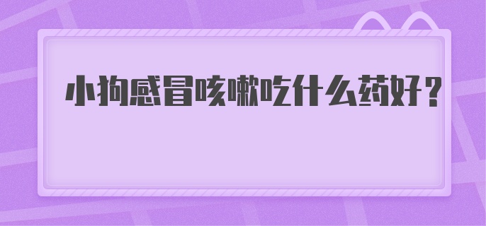 小狗感冒咳嗽吃什么药好？