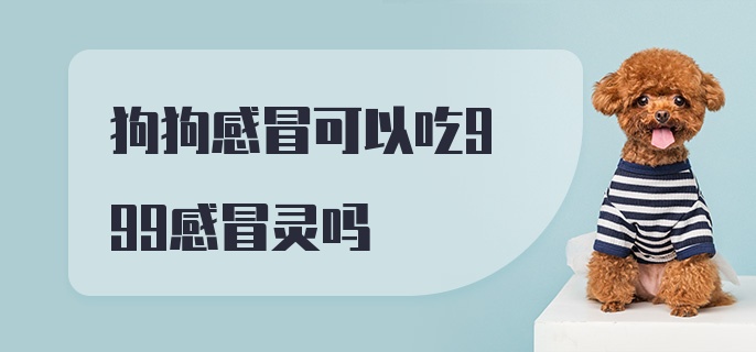 狗狗感冒可以吃999感冒灵吗