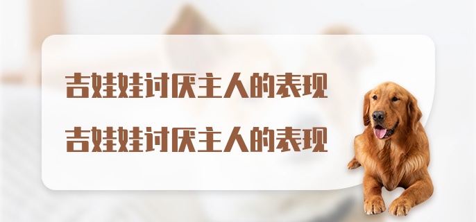 吉娃娃讨厌主人的表现吉娃娃讨厌主人的表现