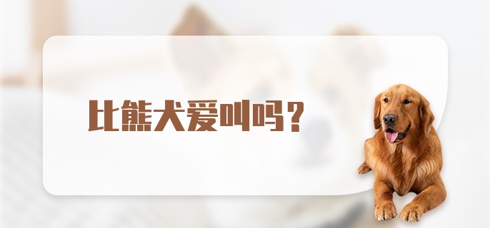 比熊犬爱叫吗？