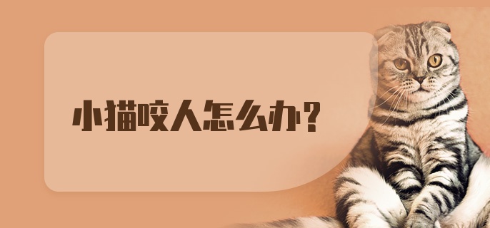 小猫咬人怎么办？