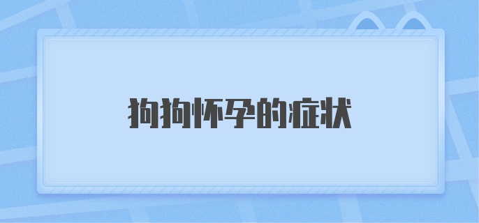 狗狗怀孕的症状