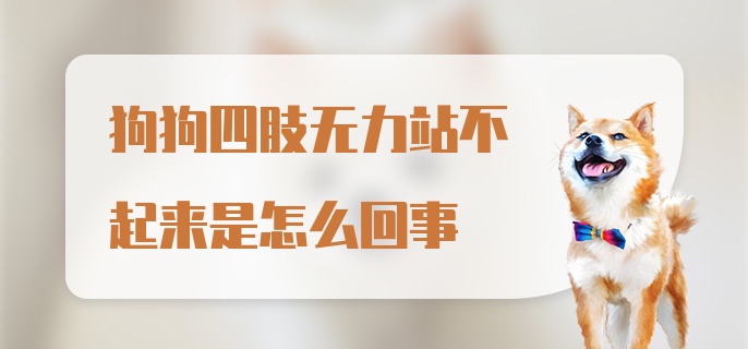 狗狗四肢无力站不起来是怎么回事