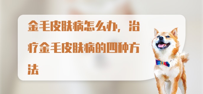 金毛皮肤病怎么办，治疗金毛皮肤病的四种方法