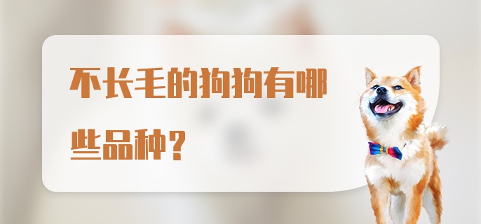 不长毛的狗狗有哪些品种?