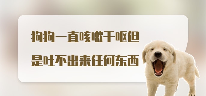 狗狗一直咳嗽干呕但是吐不出来任何东西