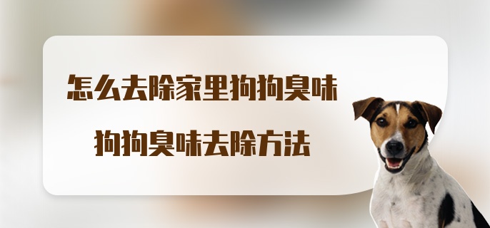 怎么去除家里狗狗臭味 狗狗臭味去除方法