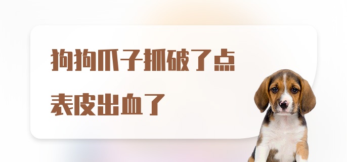 狗狗爪子抓破了点表皮出血了