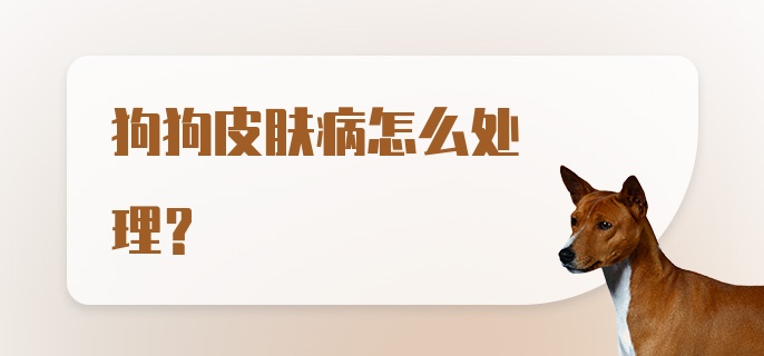 狗狗皮肤病怎么处理？