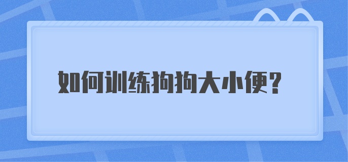 如何训练狗狗大小便？