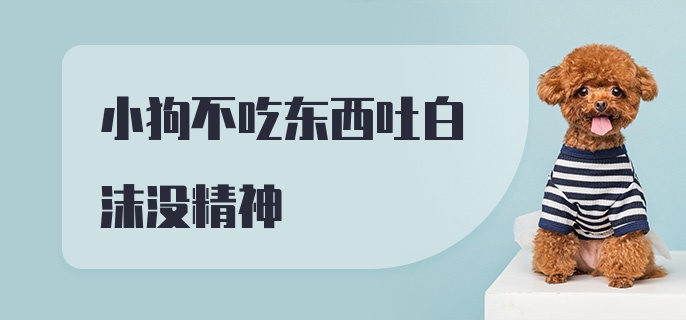 小狗不吃东西吐白沫没精神