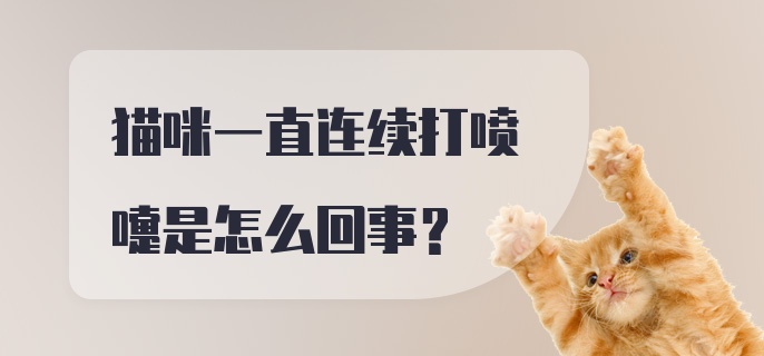 猫咪一直连续打喷嚏是怎么回事？