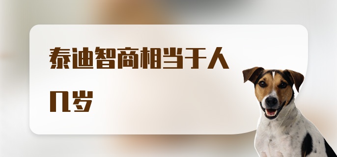 泰迪智商相当于人几岁