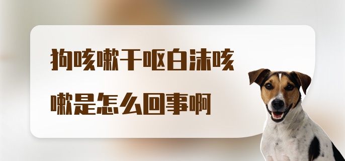 狗咳嗽干呕白沫咳嗽是怎么回事啊