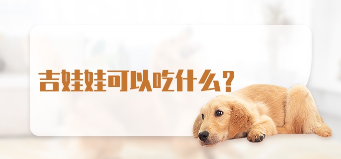 吉娃娃可以吃什么？