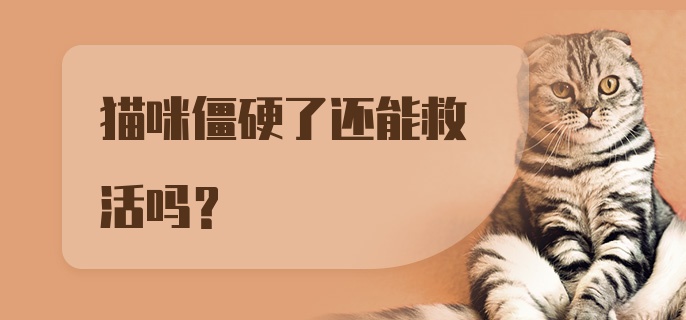 猫咪僵硬了还能救活吗？