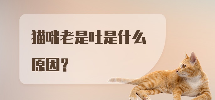 猫咪老是吐是什么原因？