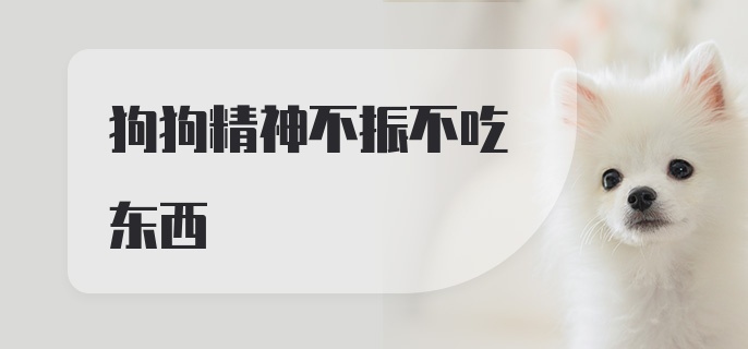 狗狗精神不振不吃东西