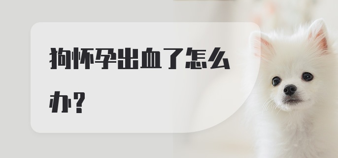 狗怀孕出血了怎么办？