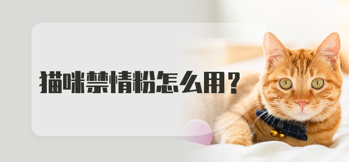 猫咪禁情粉怎么用？