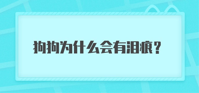 狗狗为什么会有泪痕？