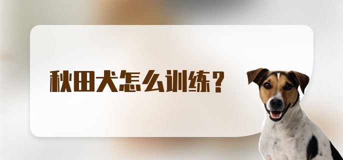 秋田犬怎么训练？