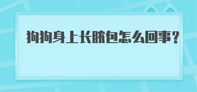 狗狗身上长脓包怎么回事？