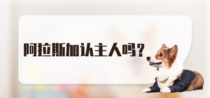 阿拉斯加认主人吗？