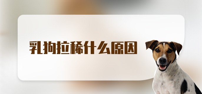 乳狗拉稀什么原因