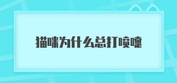 猫咪为什么总打喷嚏