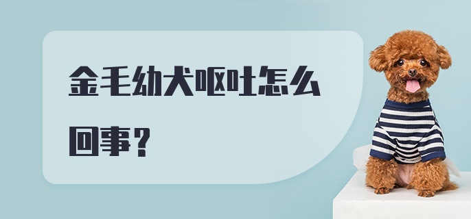 金毛幼犬呕吐怎么回事?