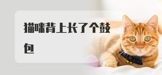 猫咪背上长了个鼓包