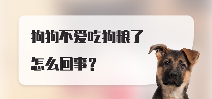 狗狗不爱吃狗粮了怎么回事？