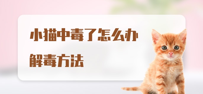 小猫中毒了怎么办解毒方法