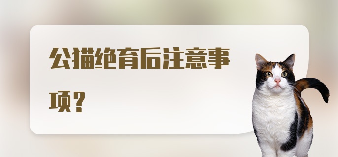 公猫绝育后注意事项？