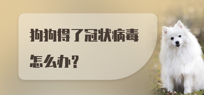 狗狗得了冠状病毒怎么办?