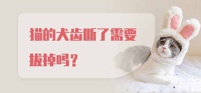 猫的犬齿断了需要拔掉吗？