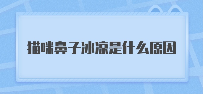 猫咪鼻子冰凉是什么原因