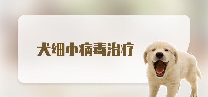 犬细小病毒治疗