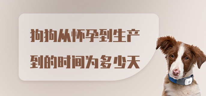 狗狗从怀孕到生产到的时间为多少天