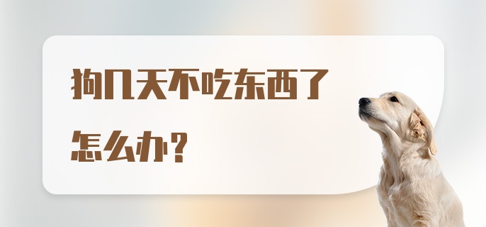 狗几天不吃东西了怎么办?