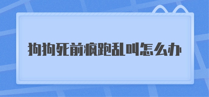 狗狗死前疯跑乱叫怎么办