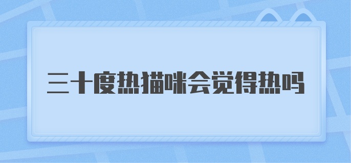 三十度热猫咪会觉得热吗