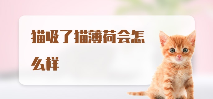 猫吸了猫薄荷会怎么样