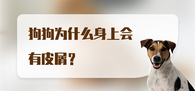 狗狗为什么身上会有皮屑？