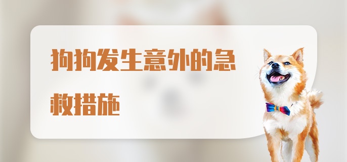 狗狗发生意外的急救措施